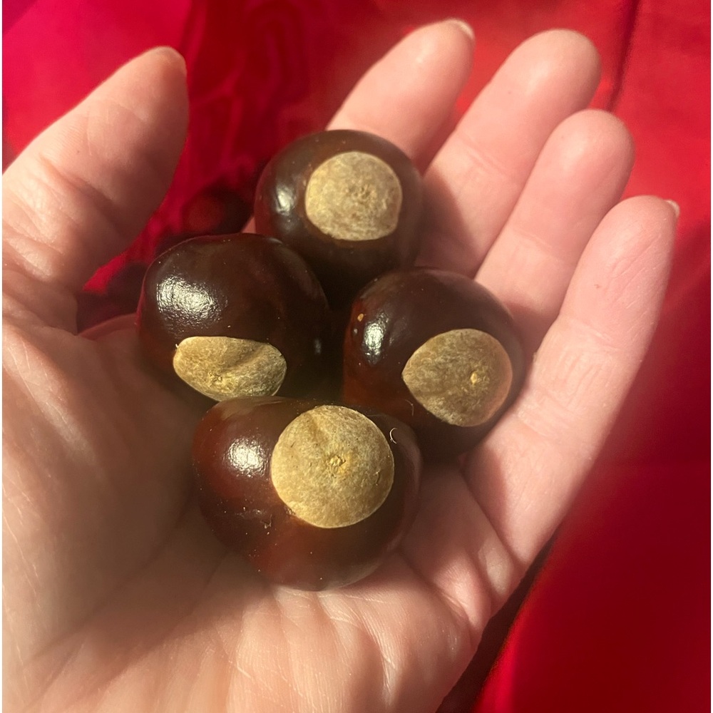 Buckeyes nuts - Picture 1 of 3